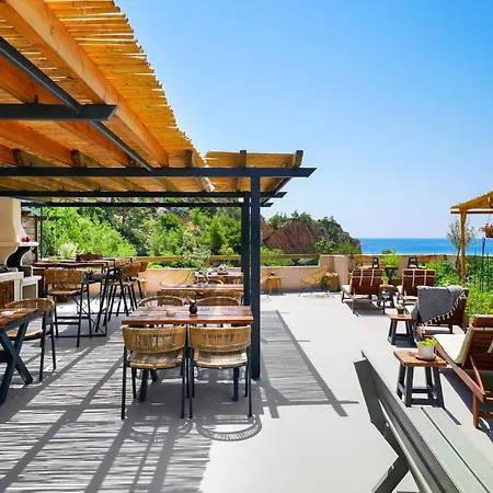 Anasa Thalassas