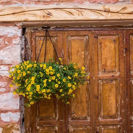 شقة Anasa Thalassas *