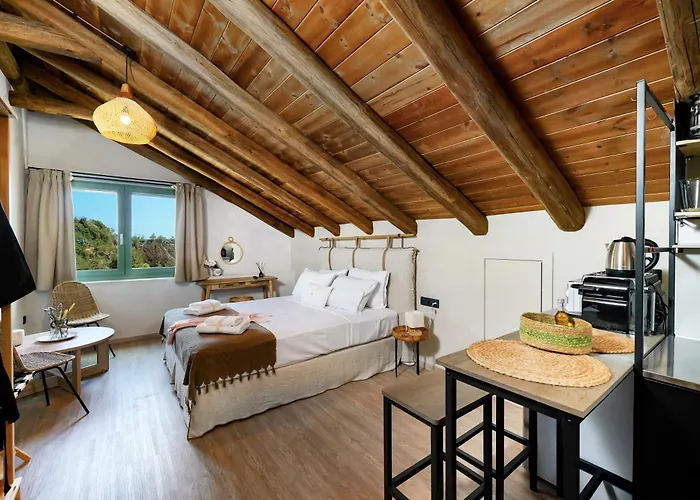 Anasa Thalassas Apartament